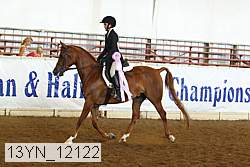 13yn_12122 proof