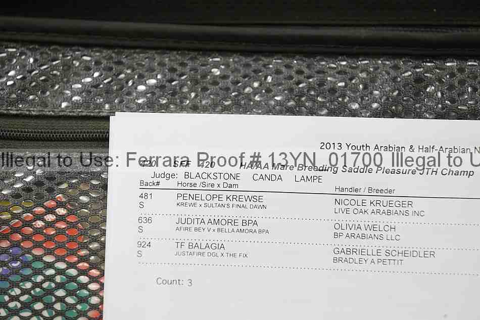 Proof 13yn_01700