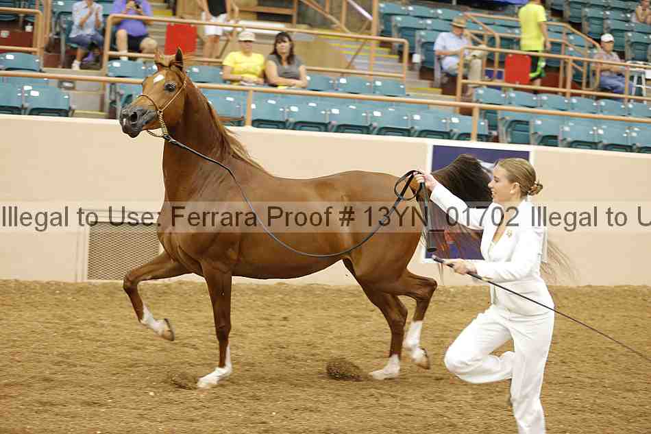 Proof 13yn_01702