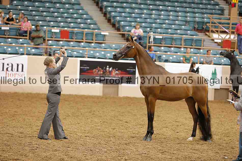 Proof 13yn_01705