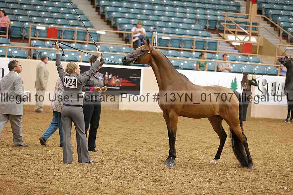 Proof 13yn_01707