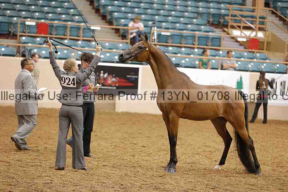 Proof 13yn_01708