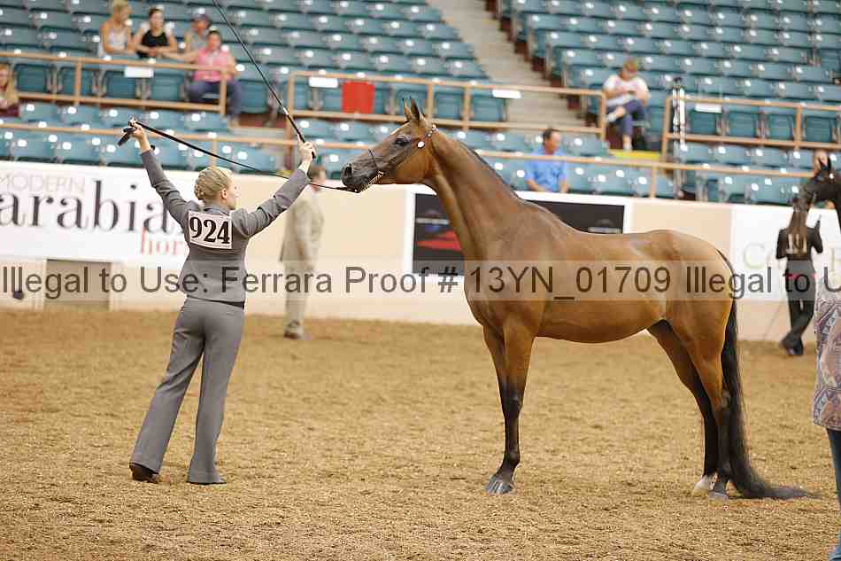 Proof 13yn_01709