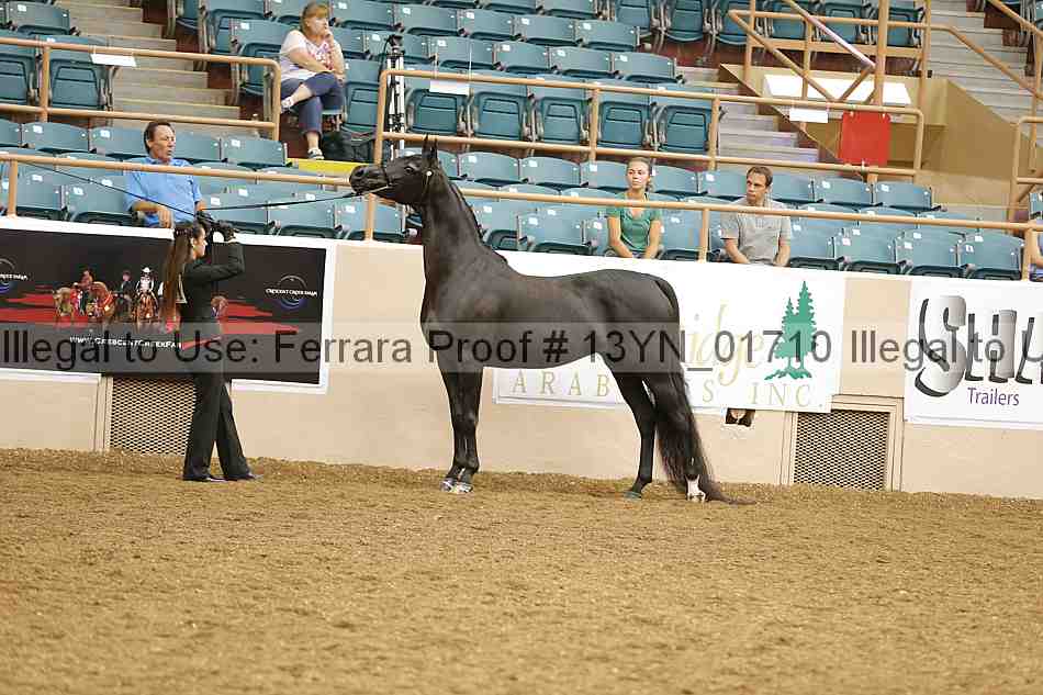 Proof 13yn_01710