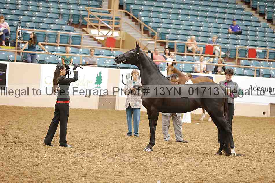 Proof 13yn_01713