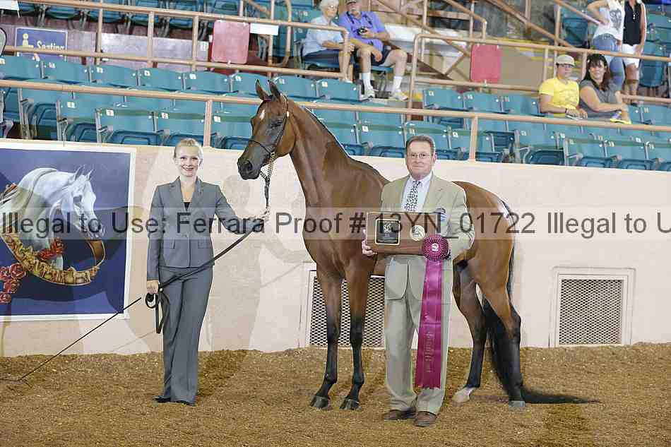Proof 13yn_01722