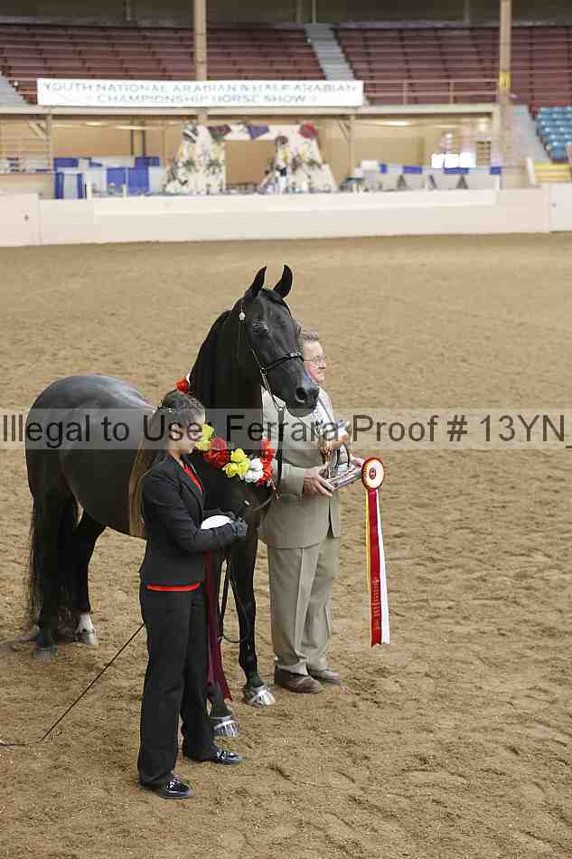 Proof 13yn_01728