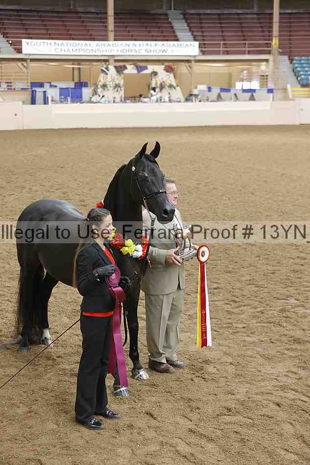 Proof 13yn_01729