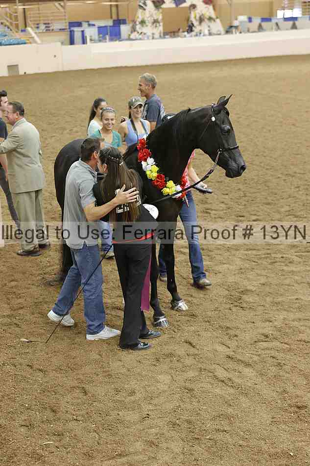 Proof 13yn_01733