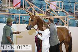 13yn_01751 proof