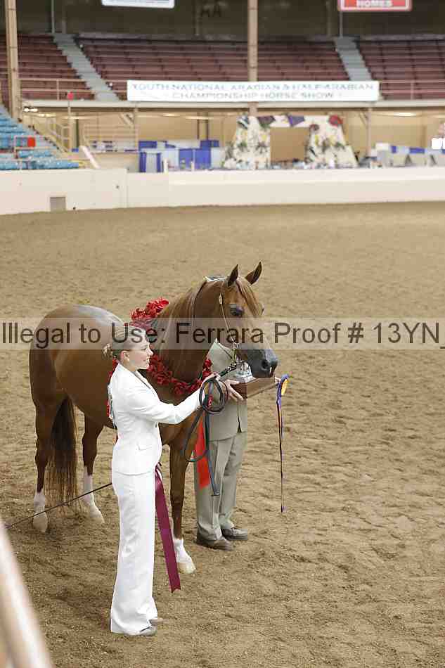 Proof 13yn_01756