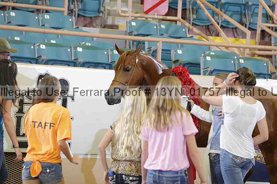 Proof 13yn_01757