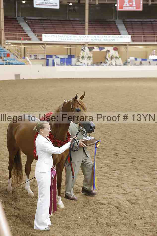 Proof 13yn_01758