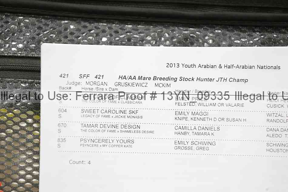 Proof 13yn_09335