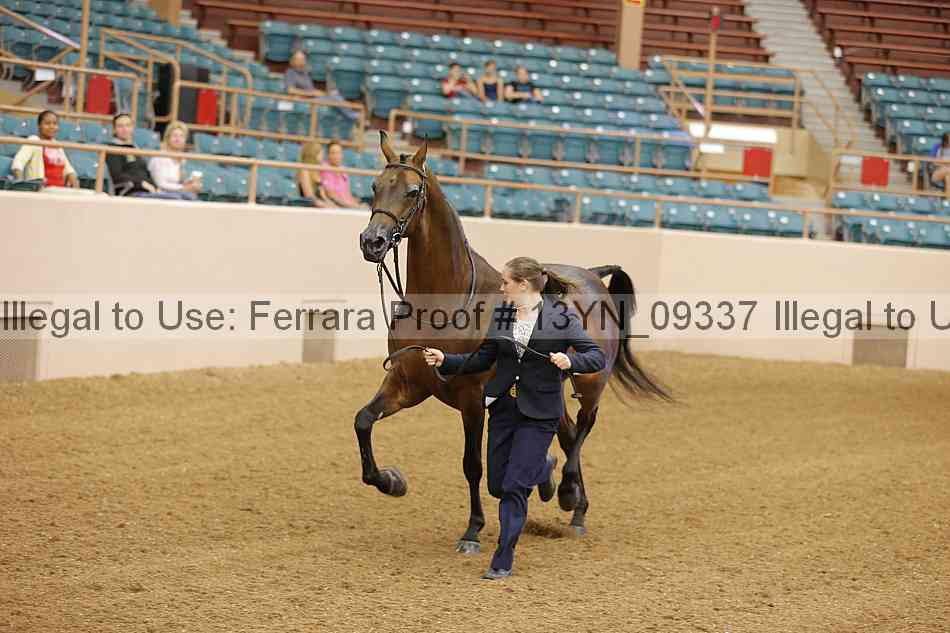 Proof 13yn_09337