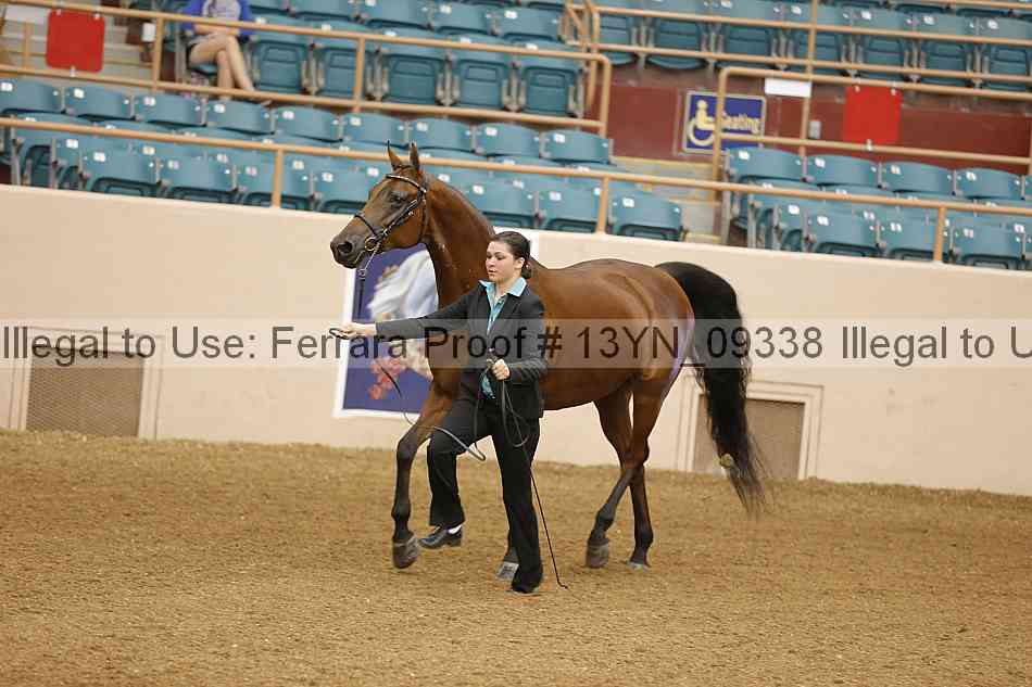 Proof 13yn_09338