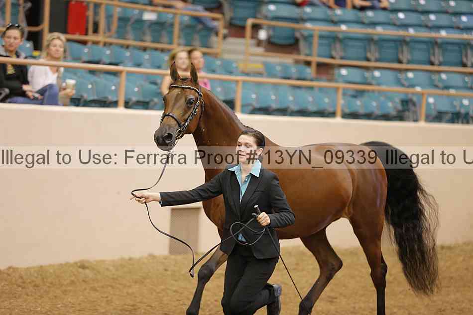 Proof 13yn_09339