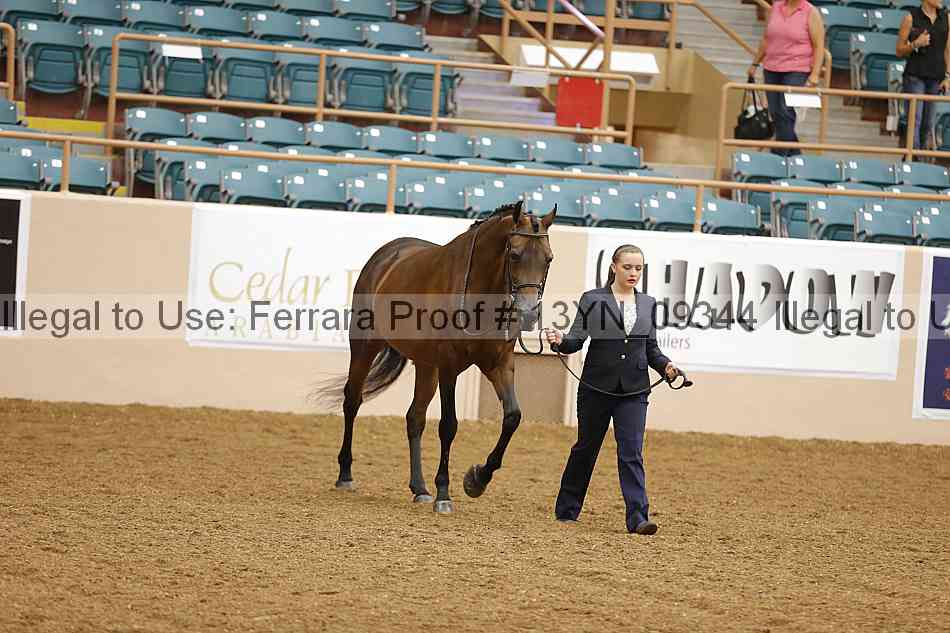 Proof 13yn_09344