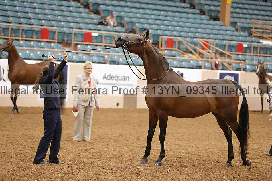 Proof 13yn_09345