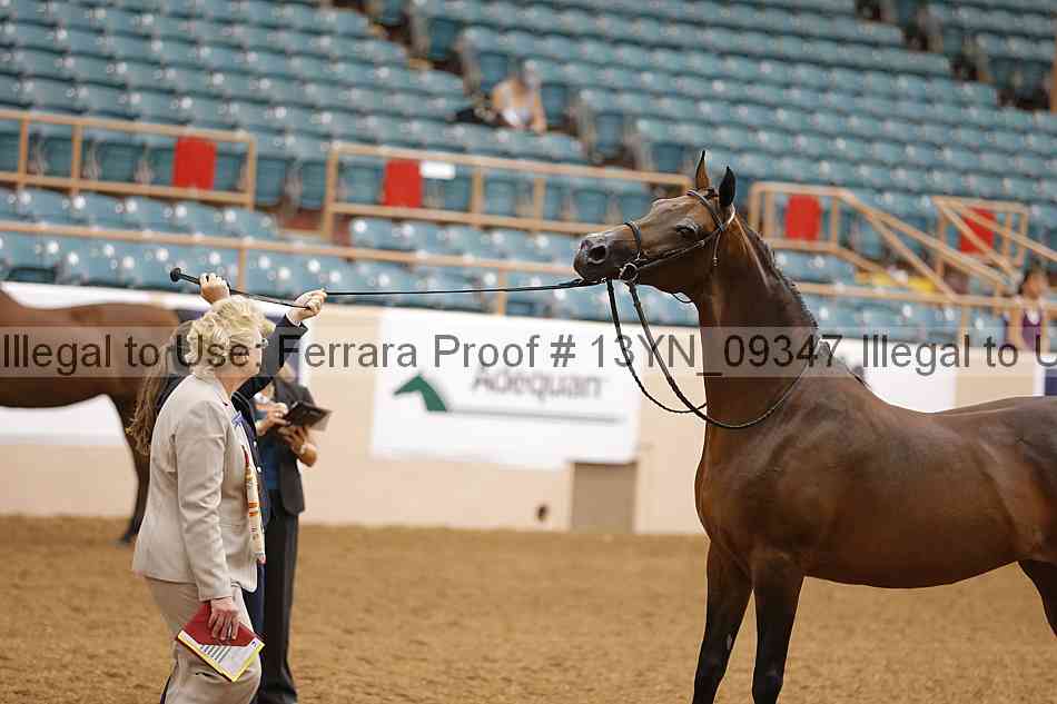 Proof 13yn_09347