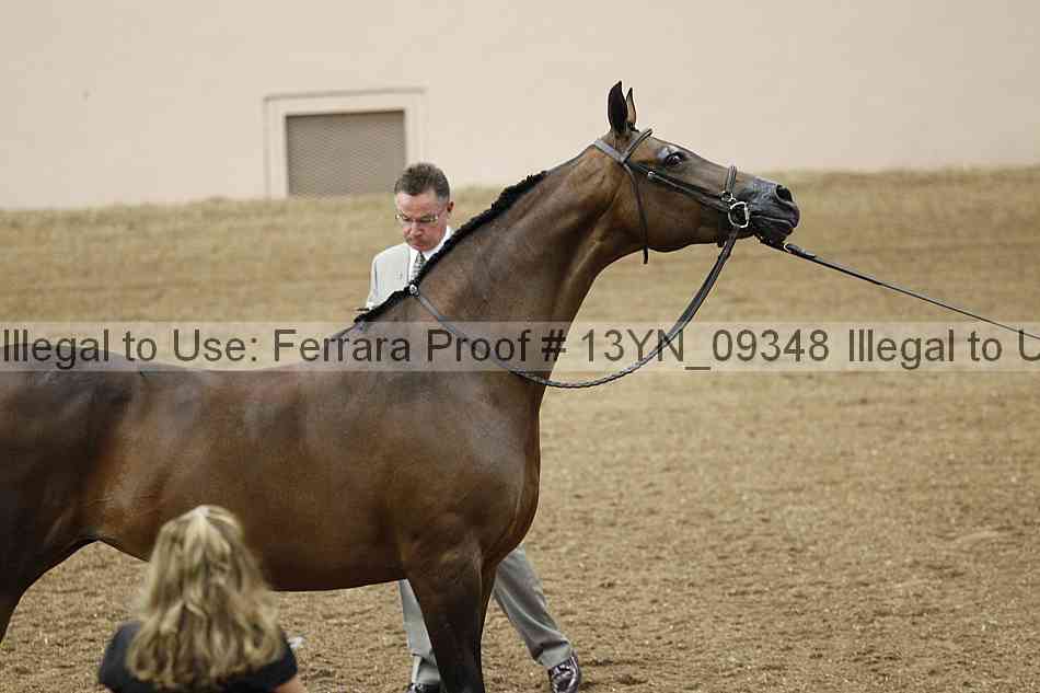 Proof 13yn_09348