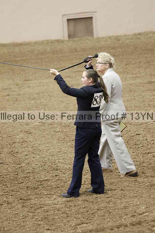 Proof 13yn_09349