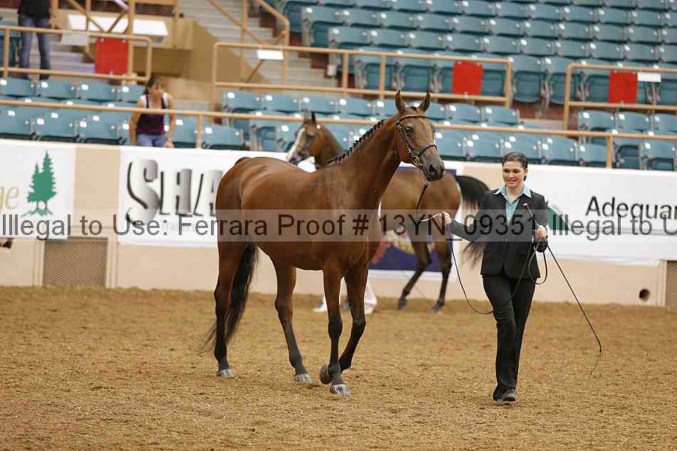 Proof 13yn_09351