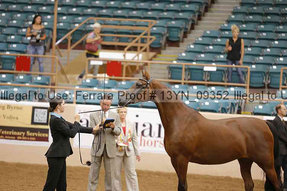 Proof 13yn_09352