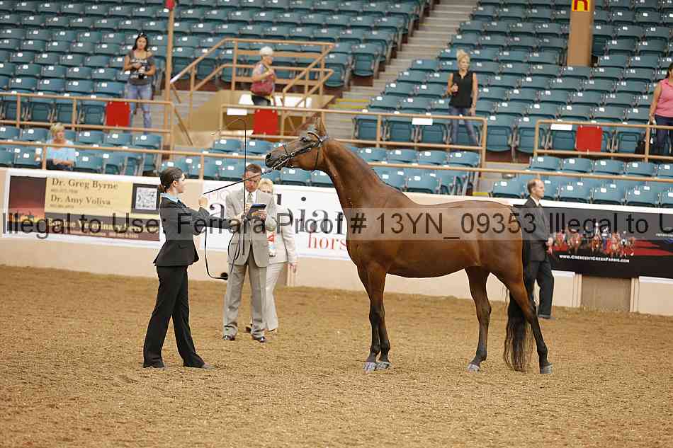 Proof 13yn_09353