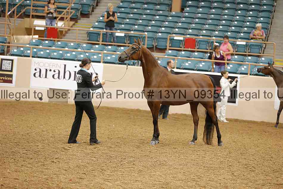 Proof 13yn_09354