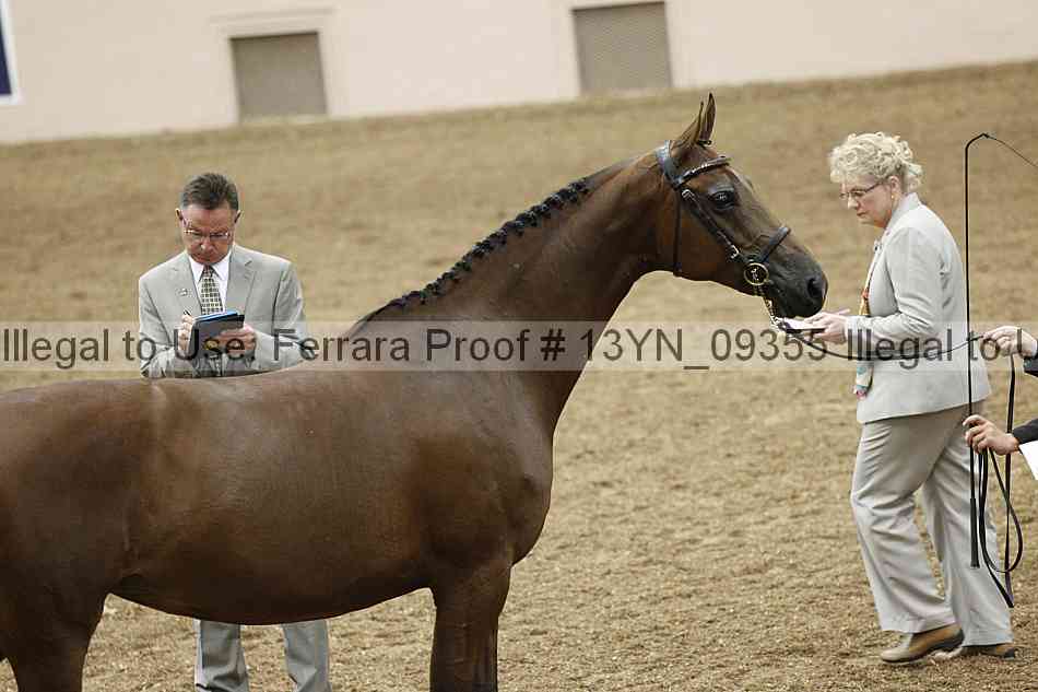Proof 13yn_09355