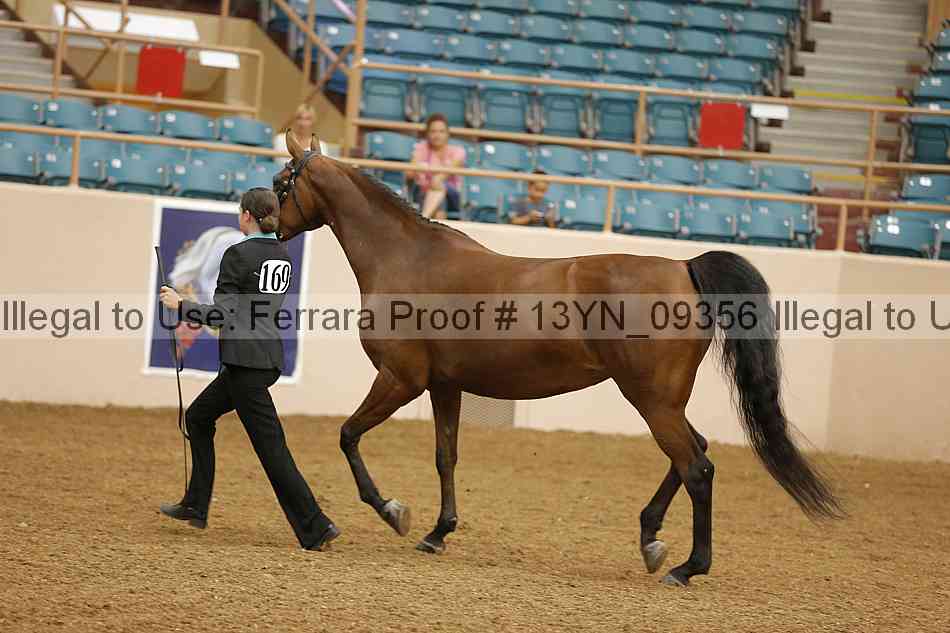 Proof 13yn_09356