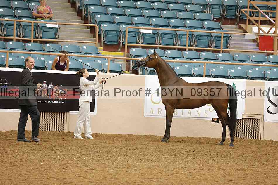 Proof 13yn_09357
