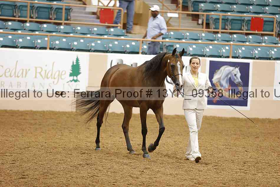 Proof 13yn_09358