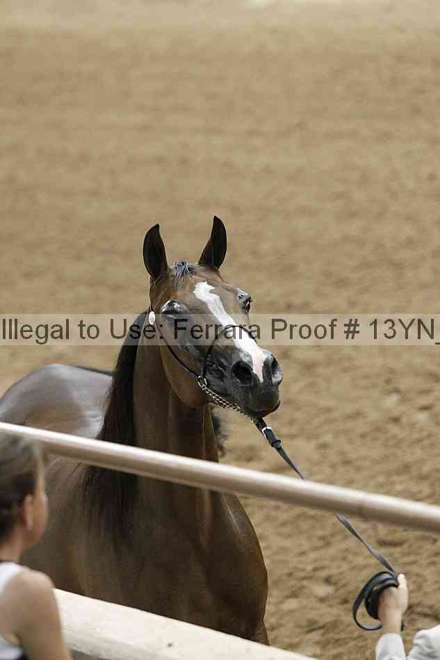 Proof 13yn_09359