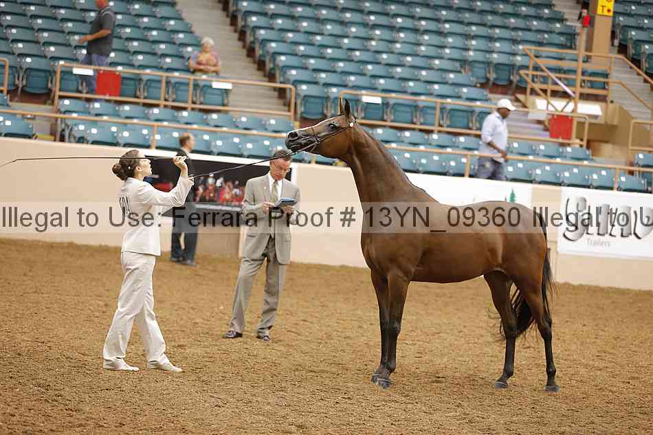 Proof 13yn_09360