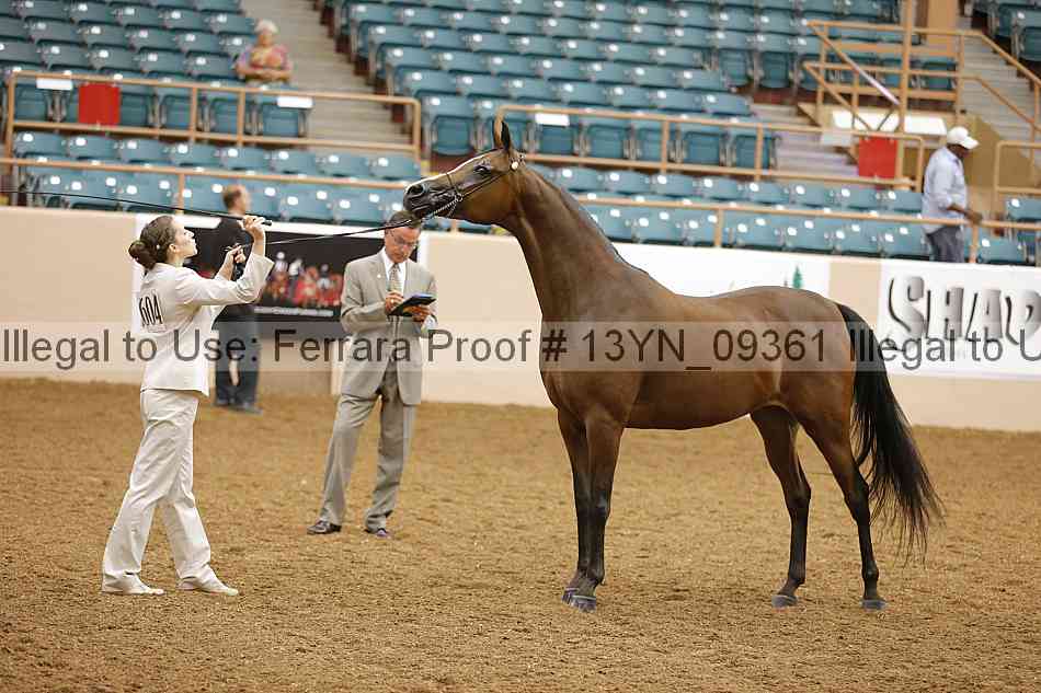 Proof 13yn_09361