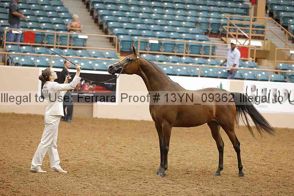 Proof 13yn_09362