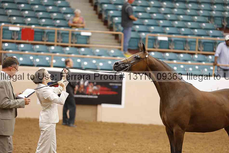 Proof 13yn_09363