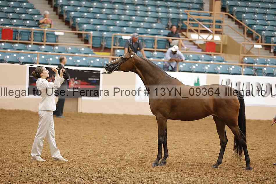 Proof 13yn_09364