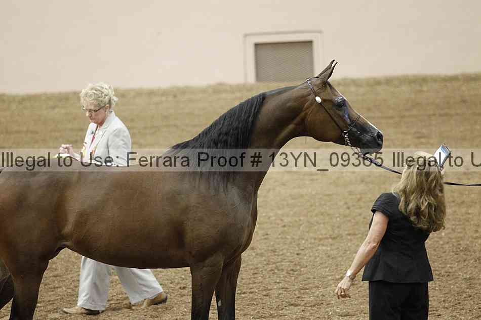 Proof 13yn_09365