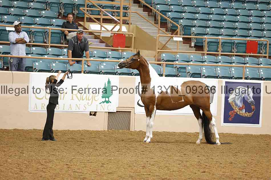 Proof 13yn_09366