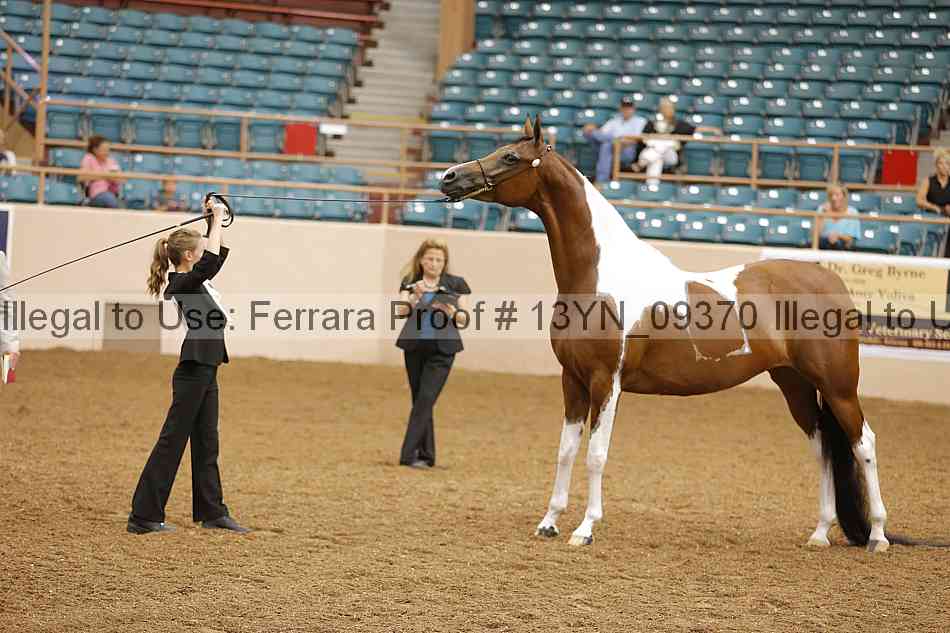 Proof 13yn_09370
