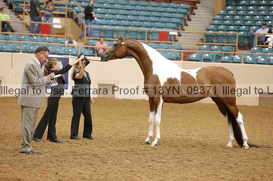 Proof 13yn_09371