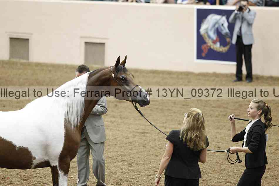 Proof 13yn_09372