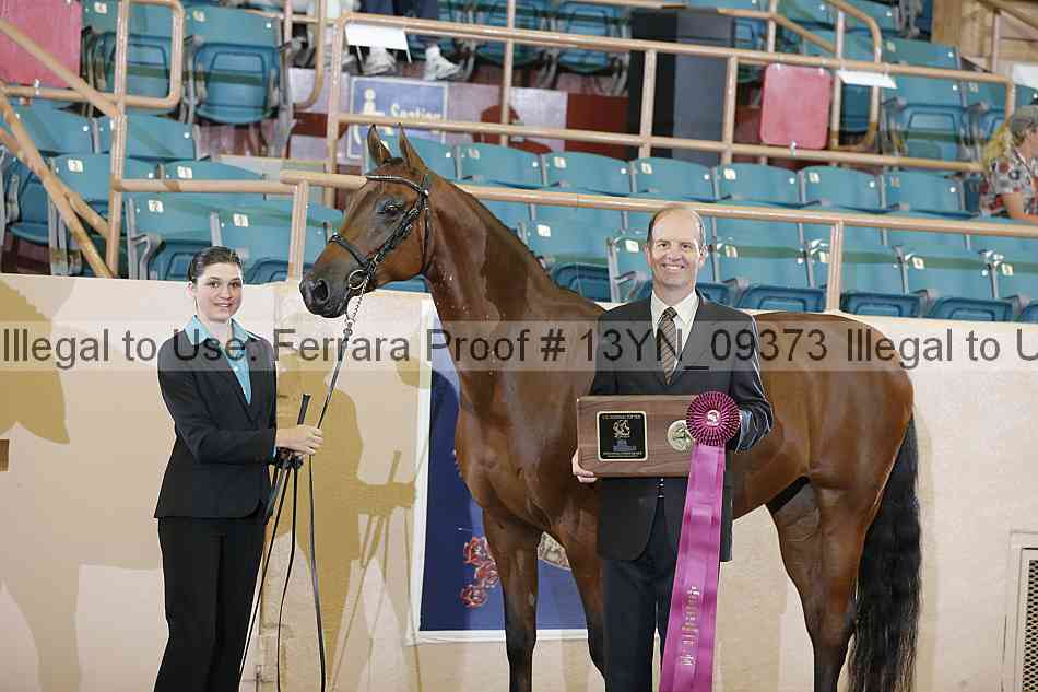 Proof 13yn_09373
