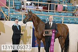 13yn_09373 proof