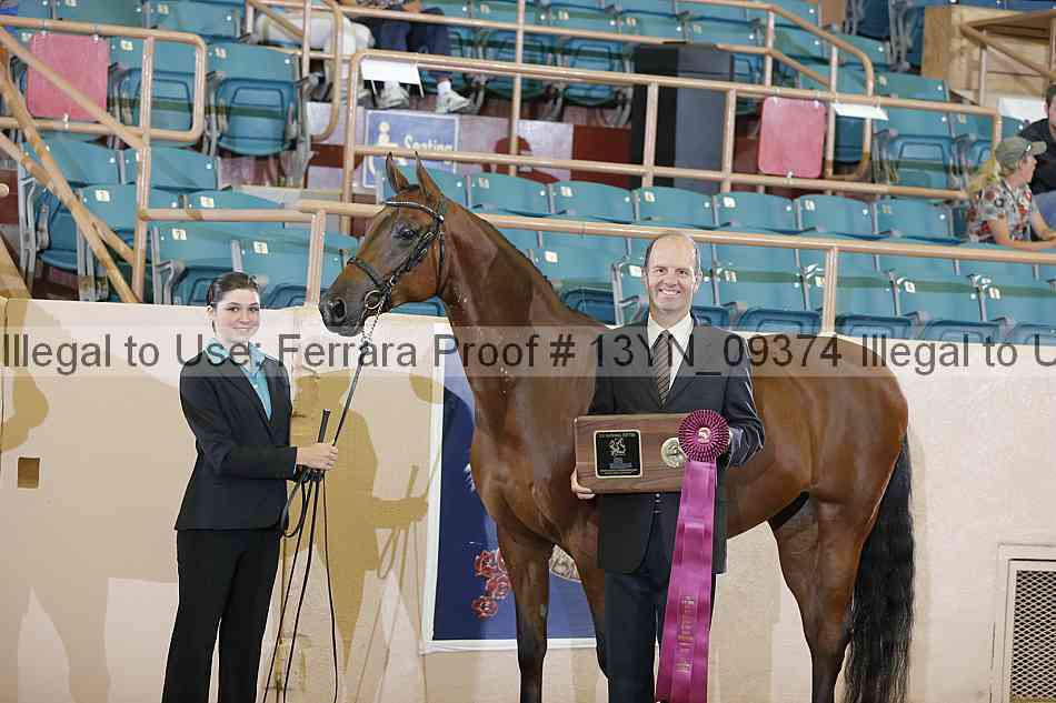 Proof 13yn_09374