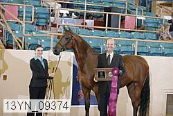 13yn_09374 proof
