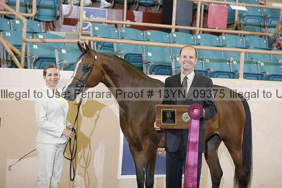 Proof 13yn_09375